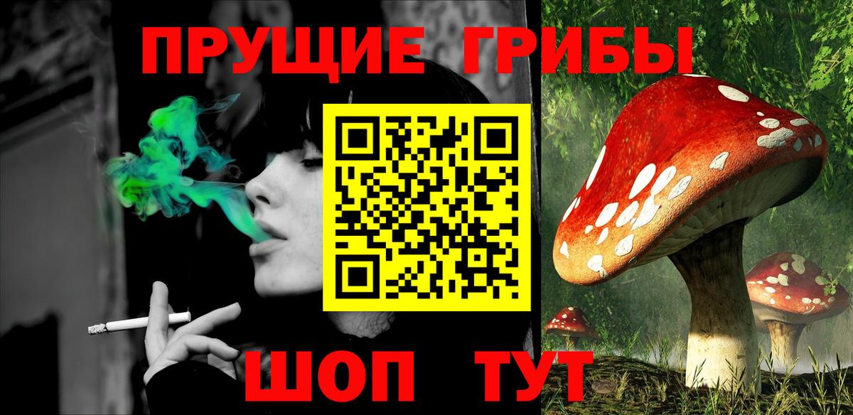 Выкса  Галлюциногенные грибы Psilocybine cubensis  Вход с VPN 